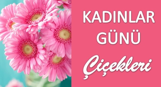 Kadınlar Günü için Çiçek Önerileri