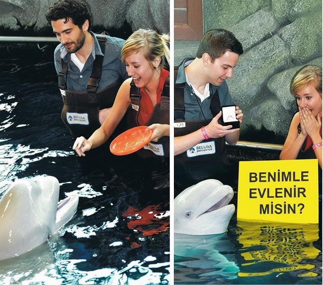 En Akıl Almaz Evlenme Teklifleri