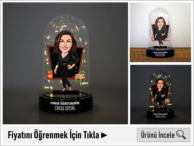 yay burcu kadın öğretmene hediye