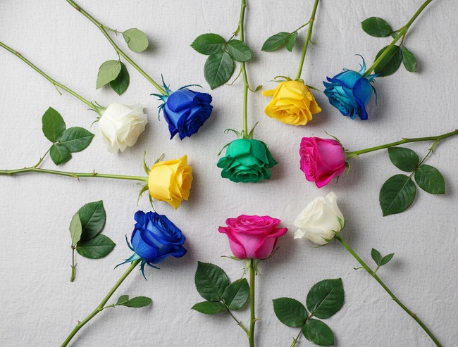 Çiçek Kartı Not Örnekleri