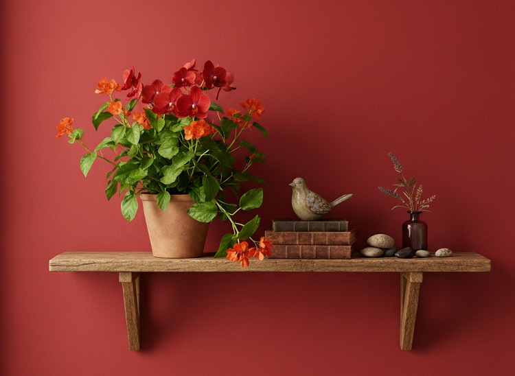 Evimi Hangi Çiçeklerle Süsleyebilirim