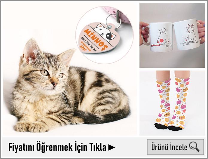 kedi severlere hediye