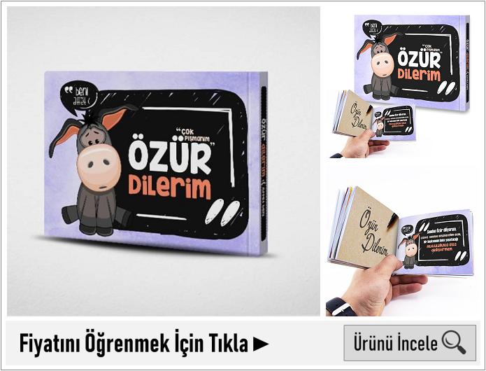 sevgiliden özür dileme yolları