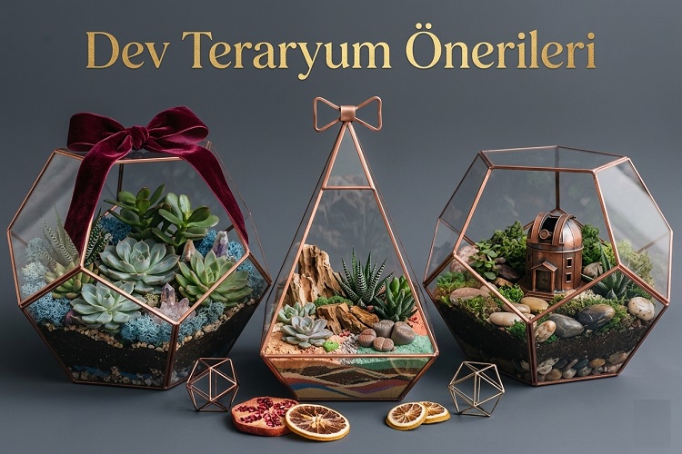 Bahçelerinize Uygulayabileceğiniz Dev Teraryum Önerileri