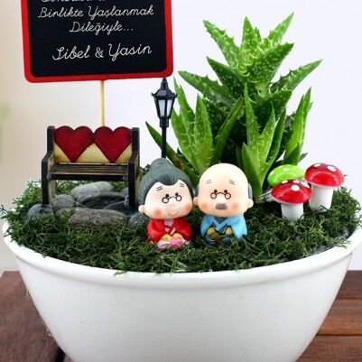 Birlikte Yaşlanalım Minyatür Aşk Bahçesi - Thumbnail
