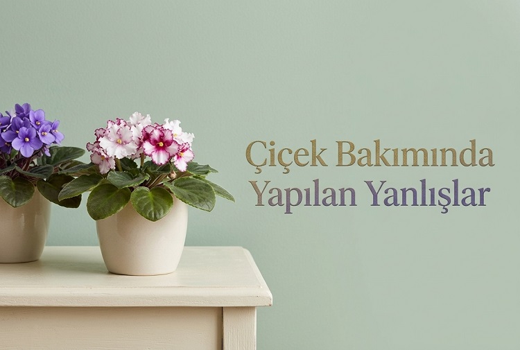 Çiçek Bakımında Yapılan Yanlışlar