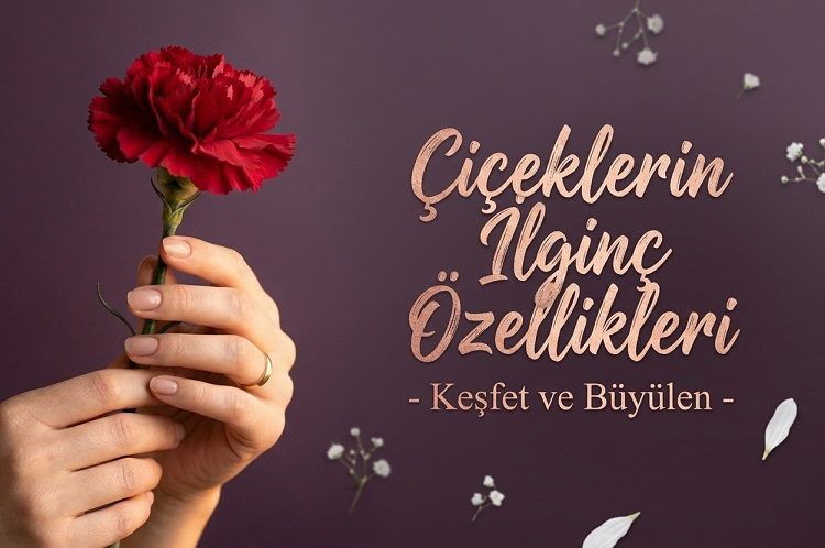 Çiçeklerin İlginç Özellikleri