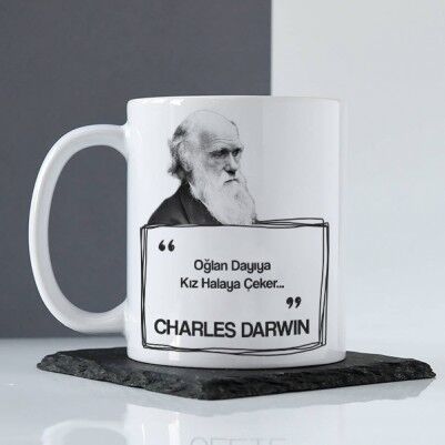  - Darwin Esprili Kupa Bardak