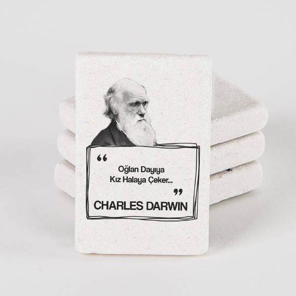 Darwin Esprili Taş Buzdolabı Magneti