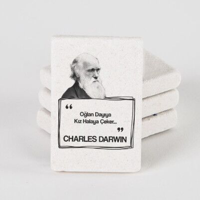  - Darwin Esprili Taş Buzdolabı Magneti