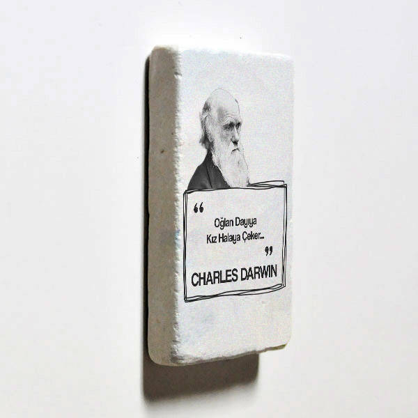 Darwin Esprili Taş Buzdolabı Magneti