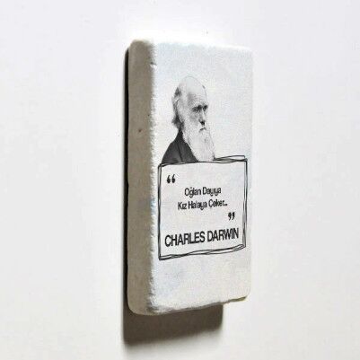 Darwin Esprili Taş Buzdolabı Magneti - Thumbnail