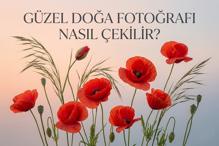 Güzel Doğa Fotoğrafı Nasıl Çekilir?