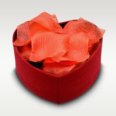Kalp Kutuda Kırmızı Gül Yaprakları - Thumbnail
