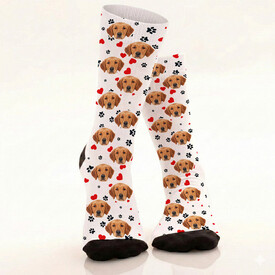 Köpeğinizin Fotosuna Özel Şirin Çorap - Thumbnail