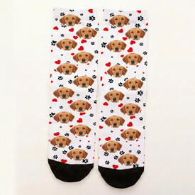 Köpeğinizin Fotosuna Özel Şirin Çorap - Thumbnail