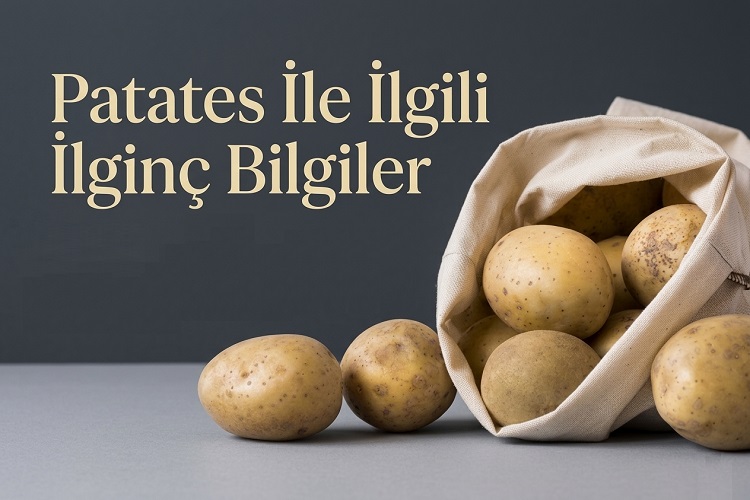 Patates İle İlgili İlginç Bilgiler
