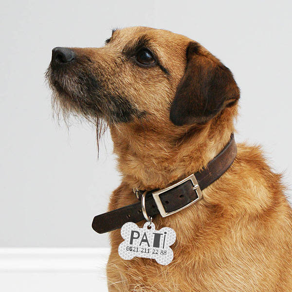 Pati Tasarımlı Köpek İsimliği