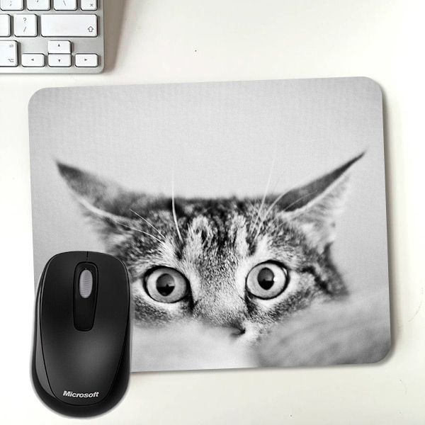 Şaşkın Kedi Temalı Mousepad
