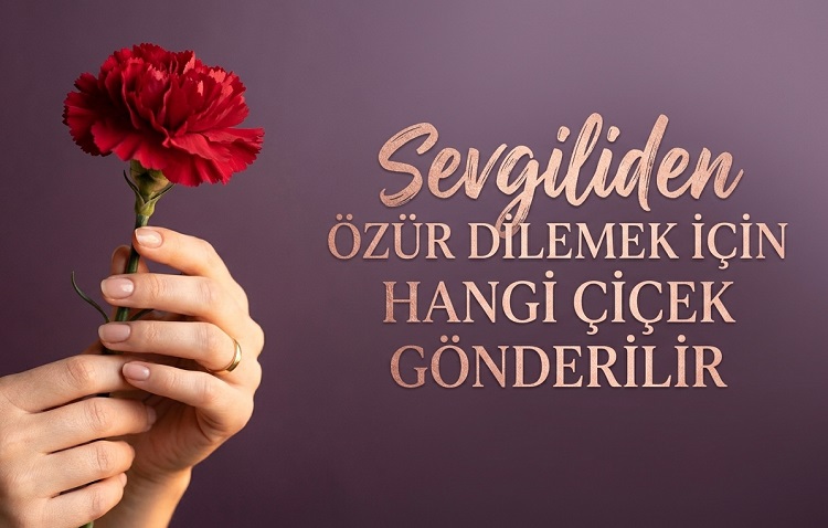 Sevgiliden Özür Dilemek İçin Hangi Çiçek Gönderilir