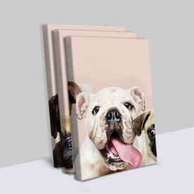 Sevimli Köpekler 3 Parçalı Kanvas Tablo - Thumbnail