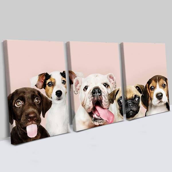 Sevimli Köpekler 3 Parçalı Kanvas Tablo