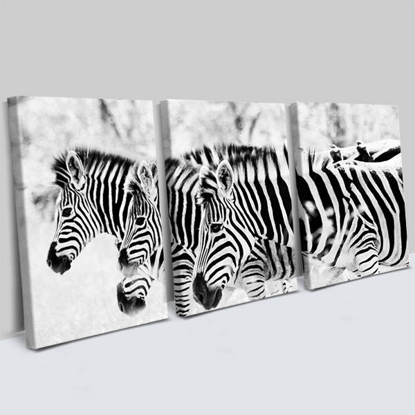 Zebra Tasarımlı 3 Parça Kanvas Tablo