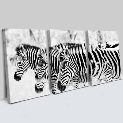  - Zebra Tasarımlı 3 Parça Kanvas Tablo